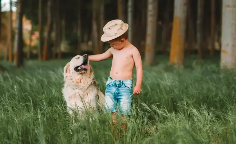 A Segurança do Seu Bebê e o Seu Cachorro: Dicas Essenciais para uma Convivência Harmônica