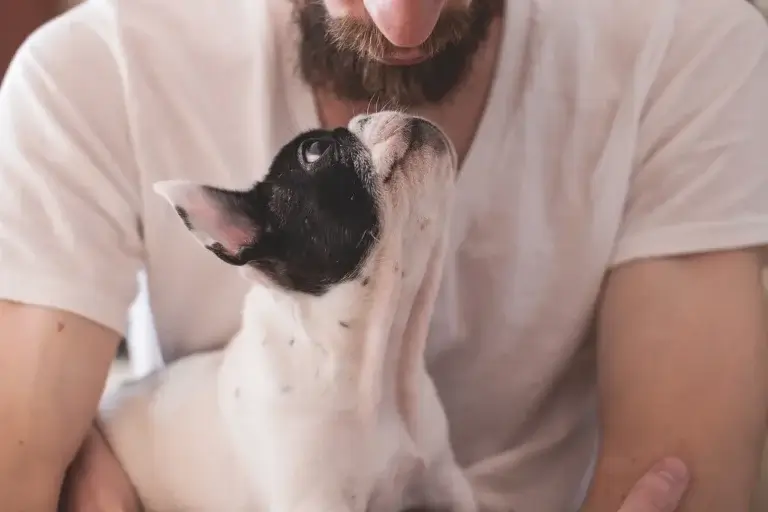 porque cachorro gosta de dormir encostado no dono