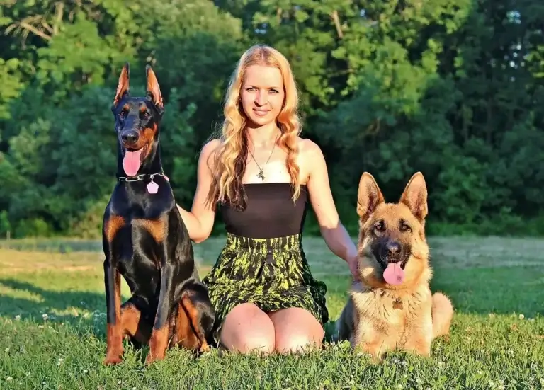 Doberman Alemão: Mitos e Verdades sobre a Raça que Encanta e Protege