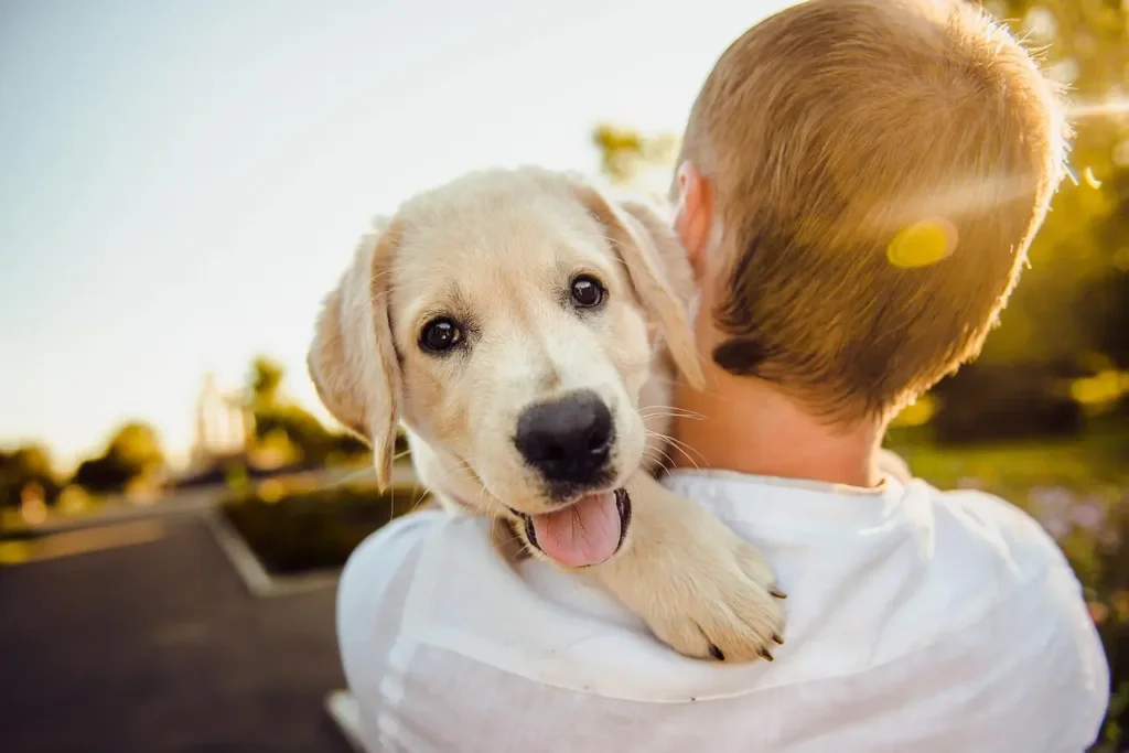 cachorro no onbro de um homem